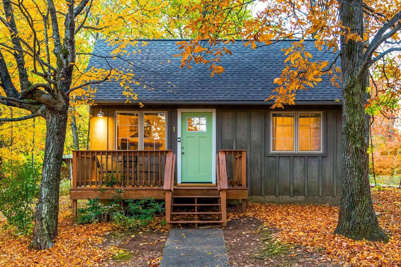 Love Ridge Mountain Lodging Lyndhurst 外观 照片
