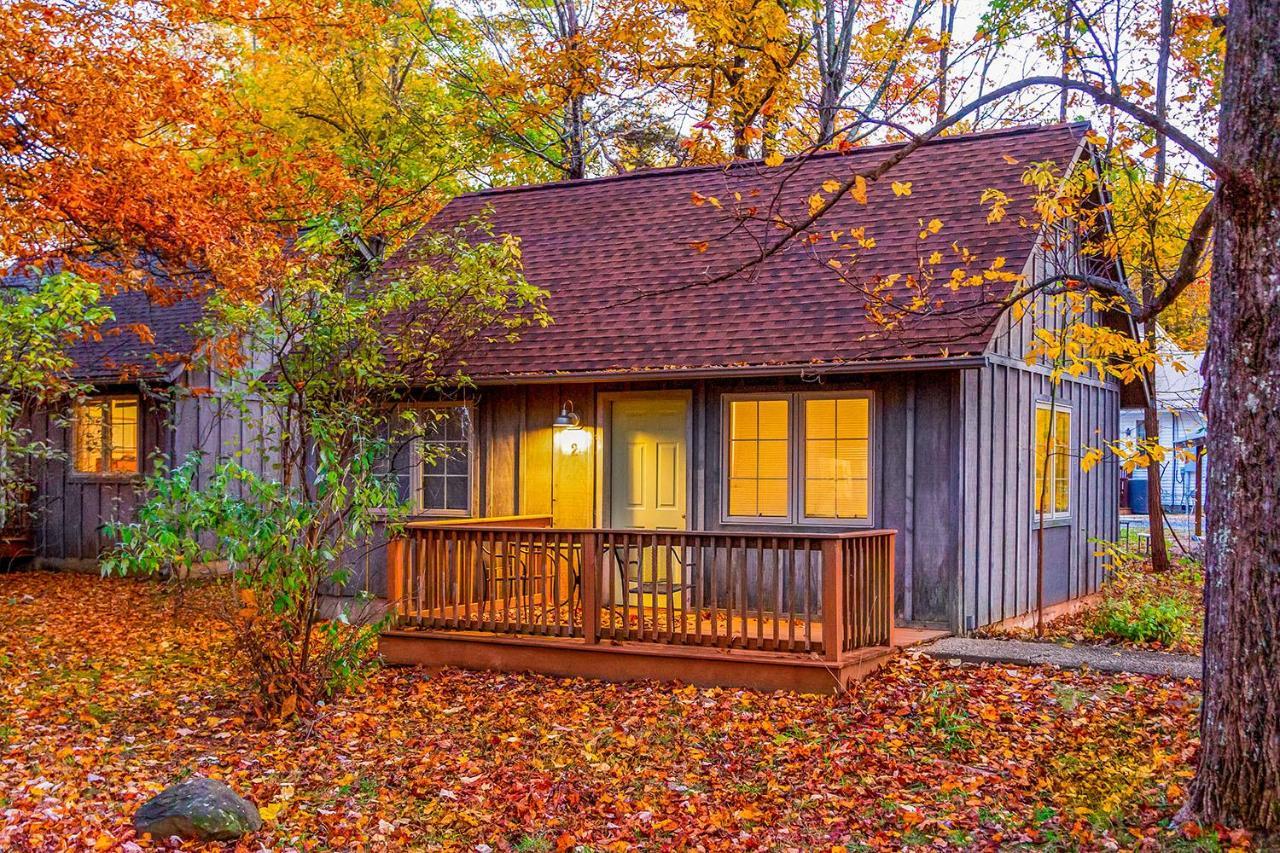 Love Ridge Mountain Lodging Lyndhurst 外观 照片