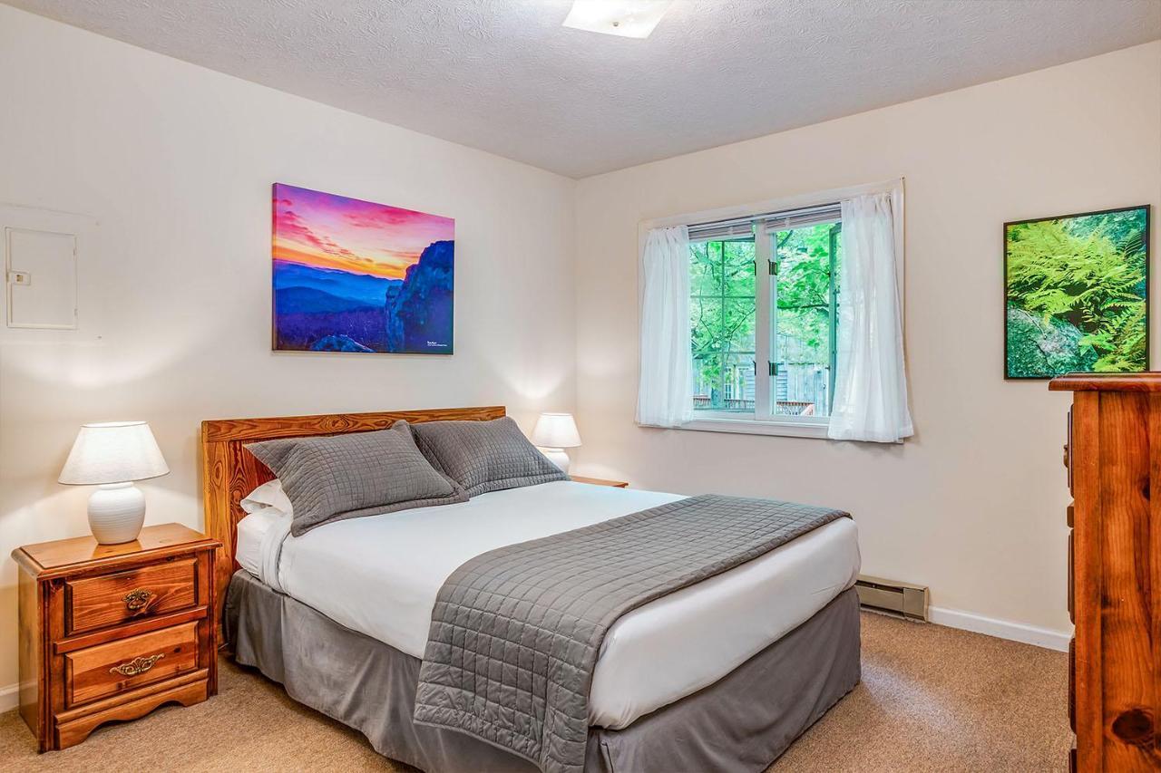 Love Ridge Mountain Lodging Lyndhurst 外观 照片