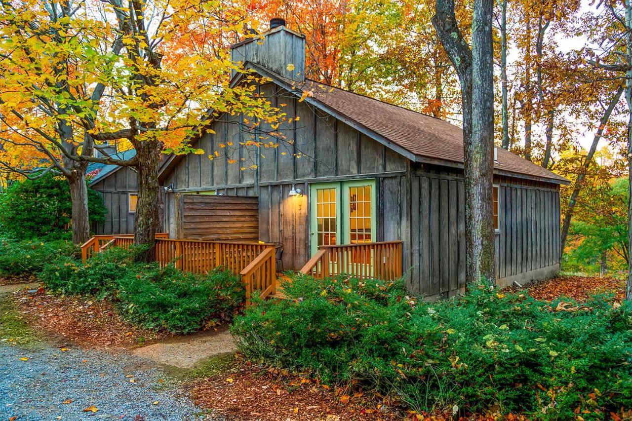 Love Ridge Mountain Lodging Lyndhurst 外观 照片