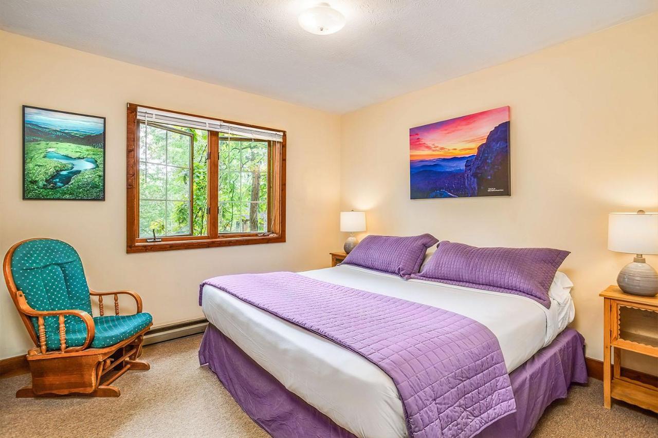 Love Ridge Mountain Lodging Lyndhurst 外观 照片