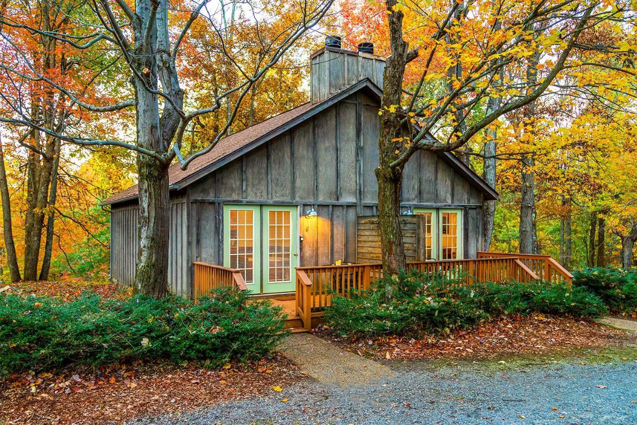 Love Ridge Mountain Lodging Lyndhurst 外观 照片