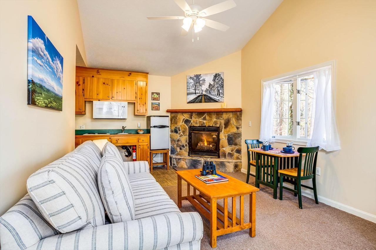 Love Ridge Mountain Lodging Lyndhurst 外观 照片