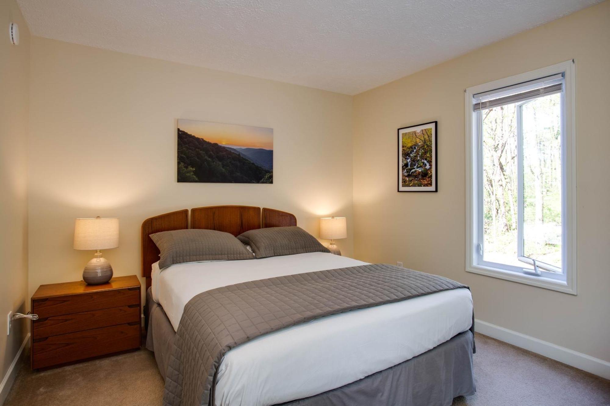 Love Ridge Mountain Lodging Lyndhurst 外观 照片